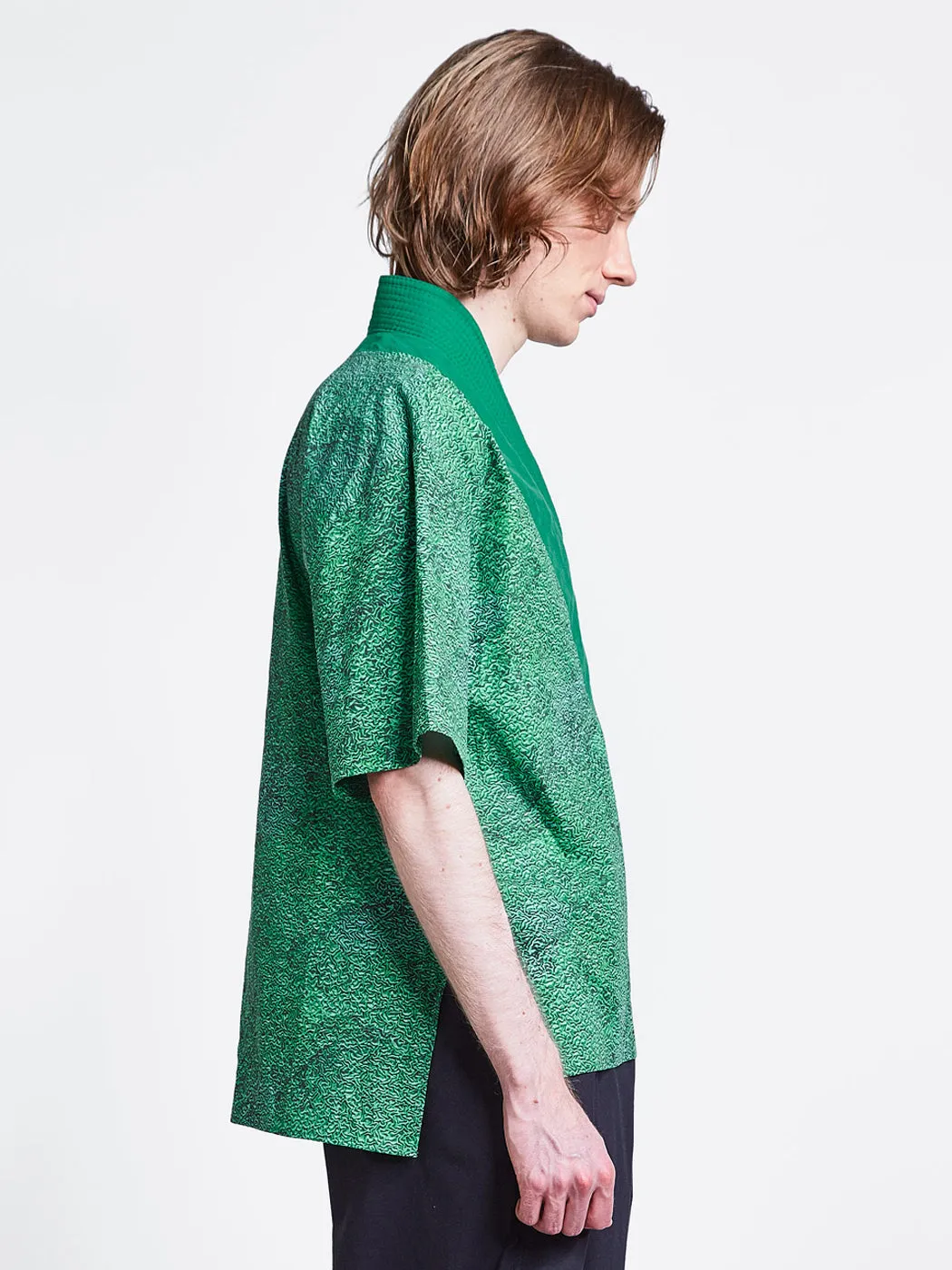Belt Collar V Neck Print