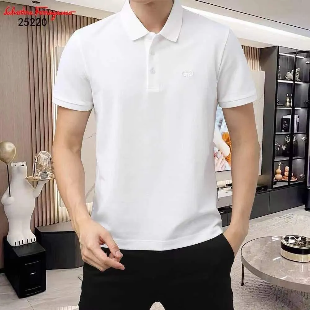Classic Polo T-Shirt with Embroidered Chest Logo