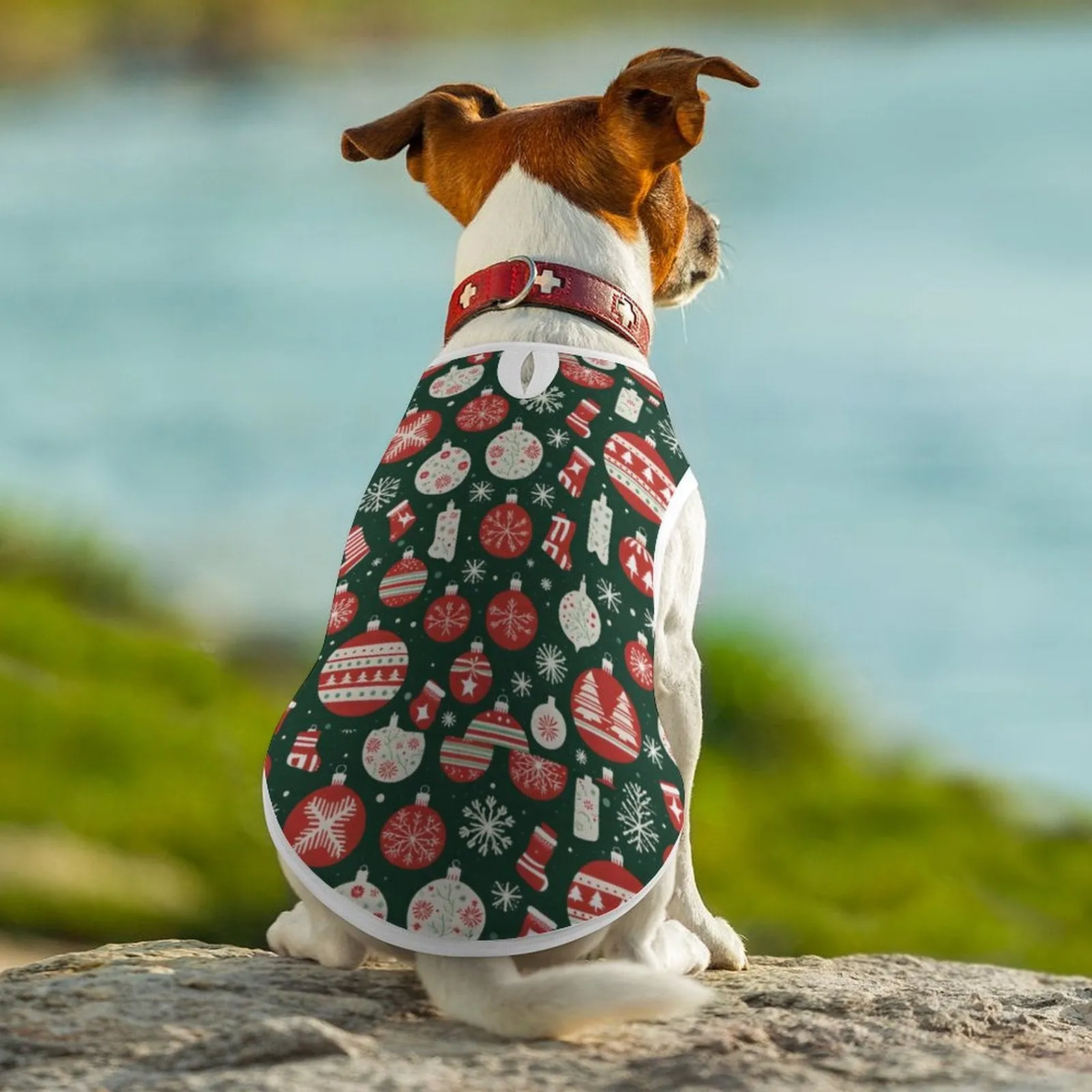 Exmuss-  Dog Vest
