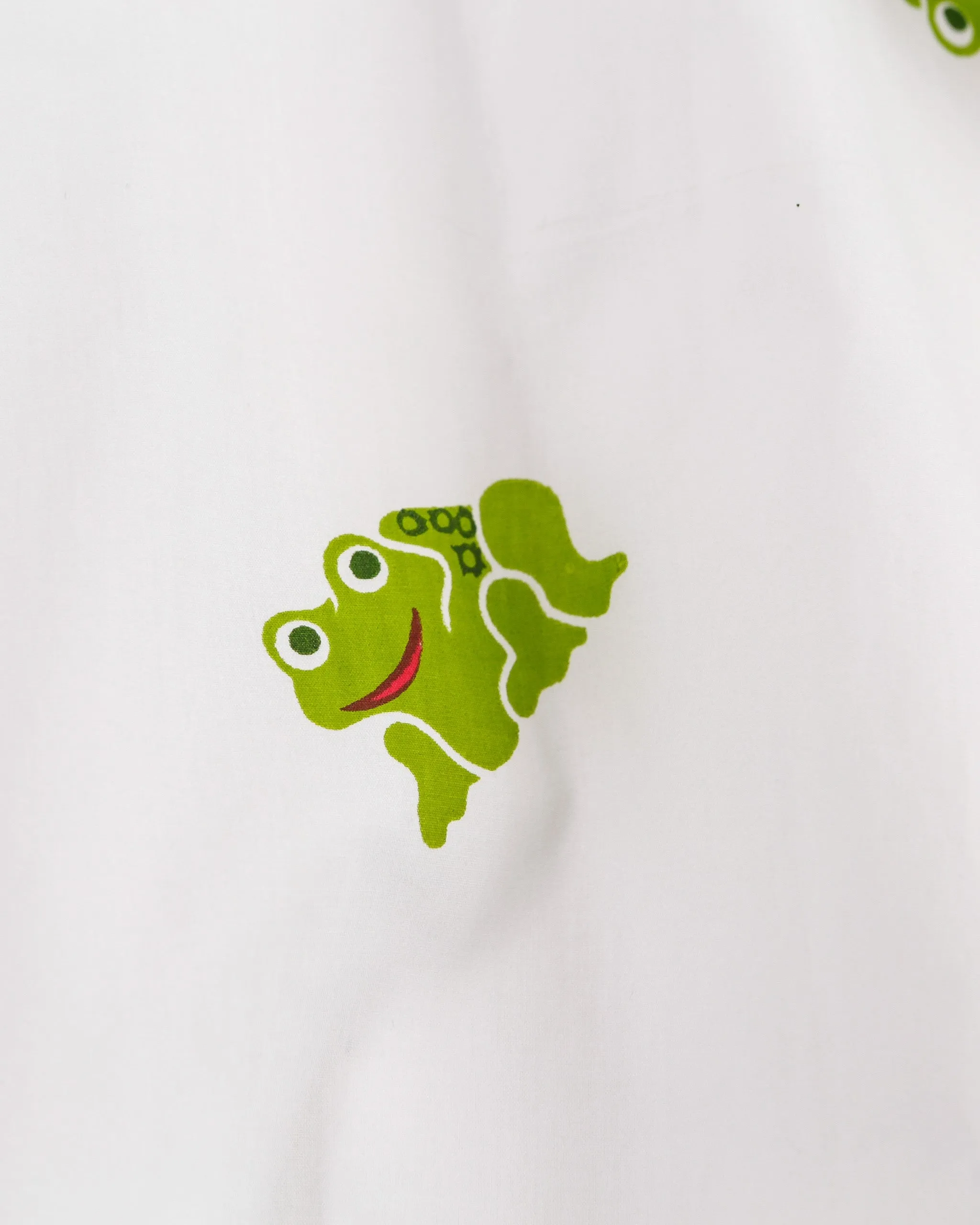 Long Sleeve Pajama Set In Green Frog Print