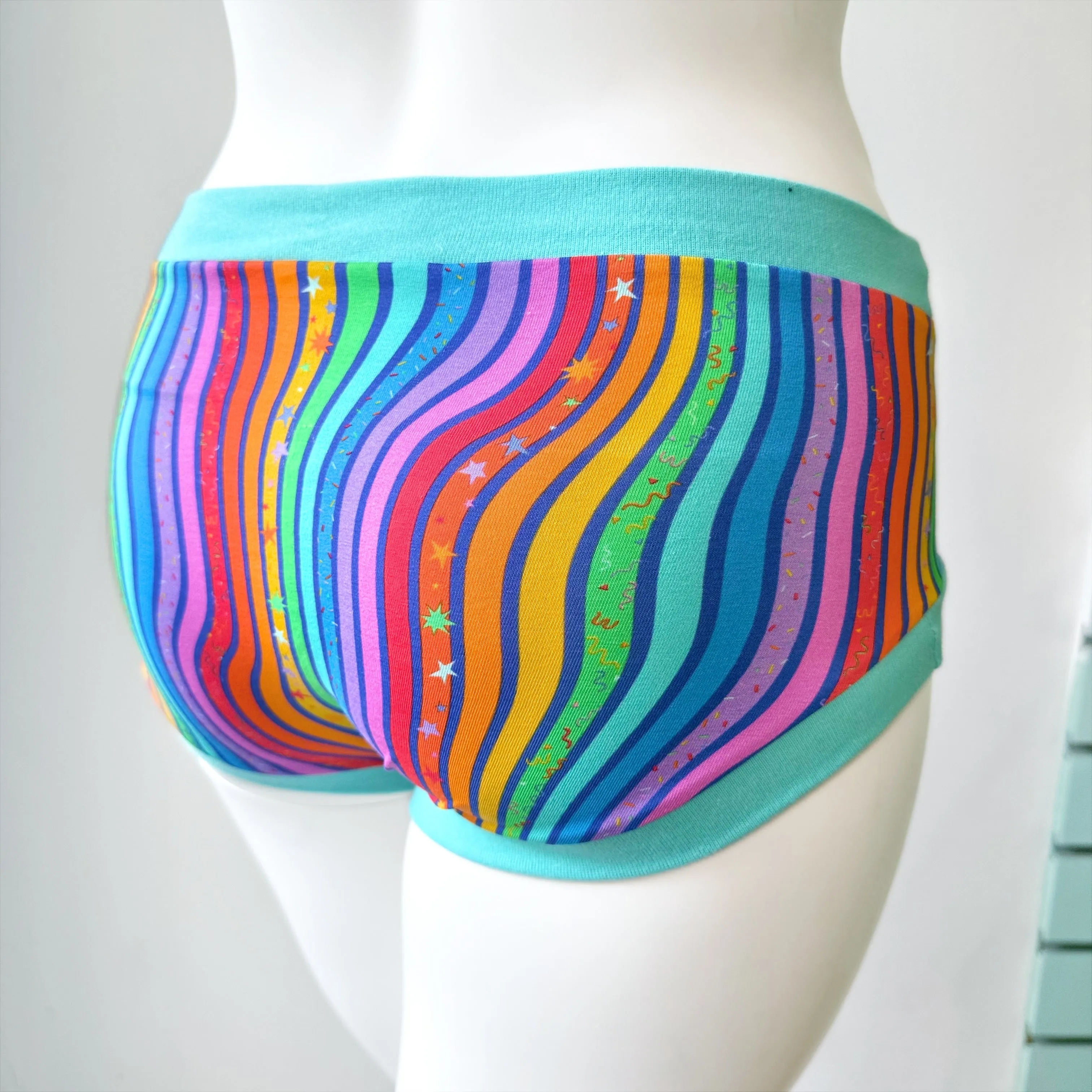 Rainbow Stripe Pouch Fronted Briefs | Men’s Pants | Organic Cotton Underwear