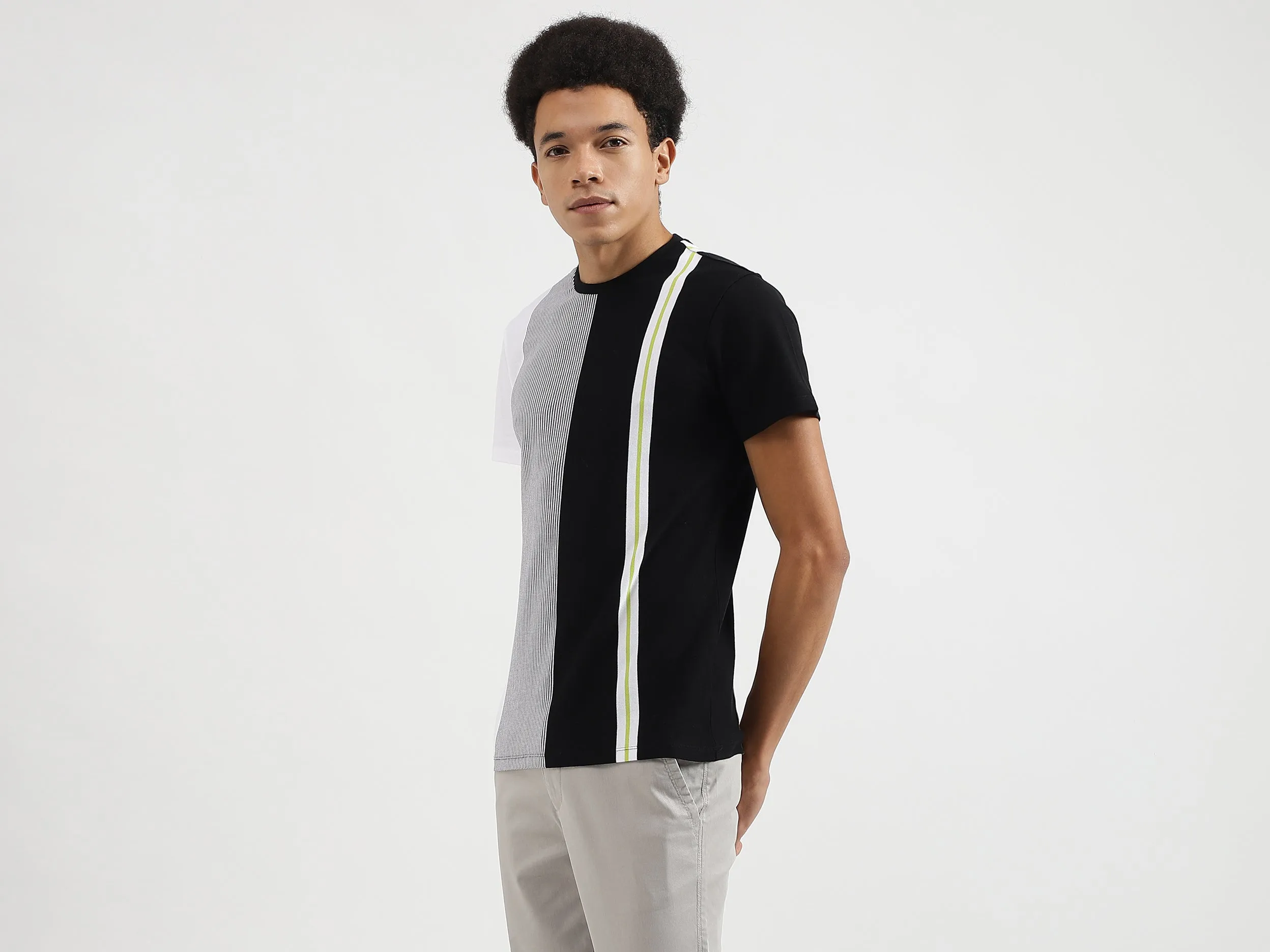 Regular Fit Round Neck Striped T-Shirts