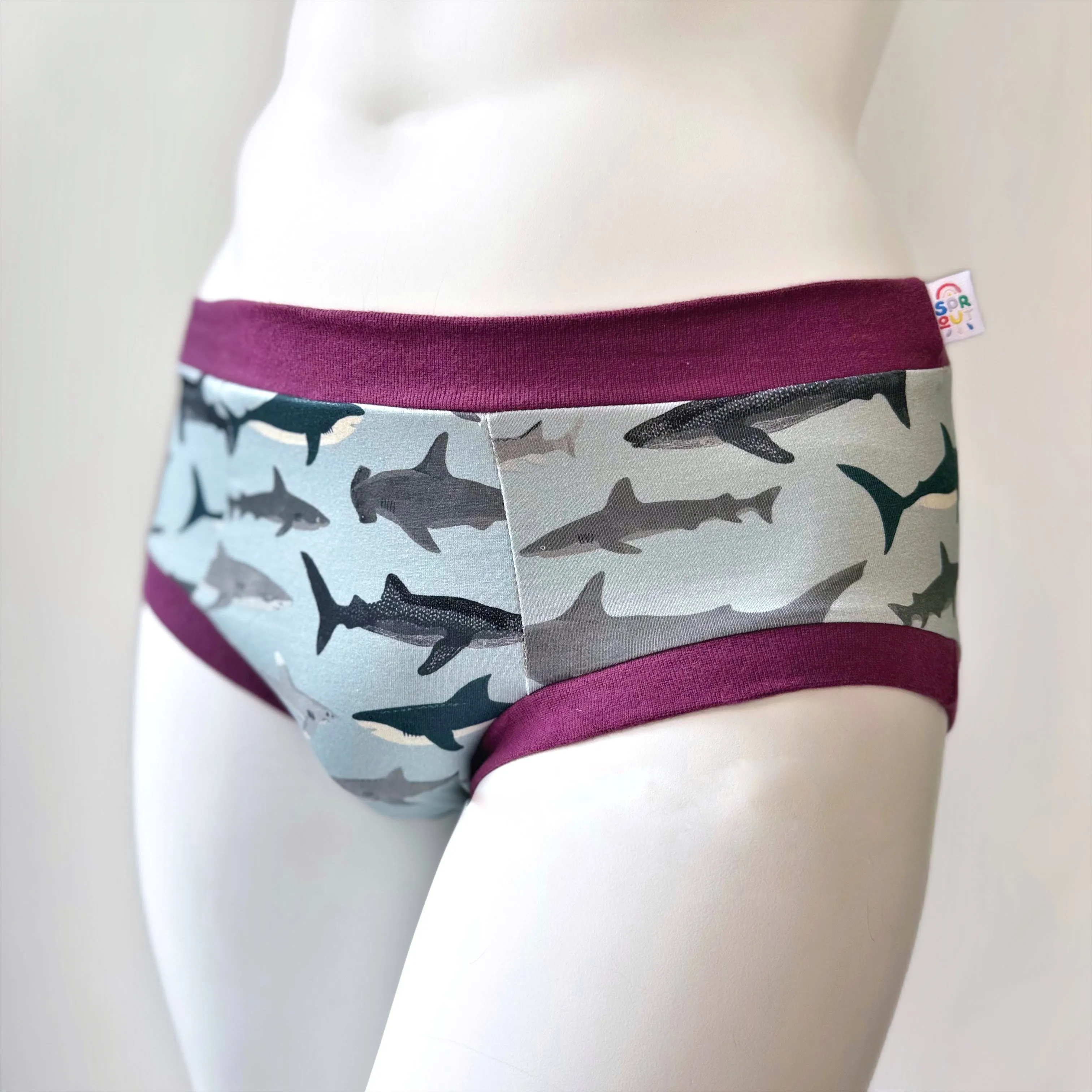 Shark Pouch Fronted Briefs | Men’s Pants | Organic Cotton Underwear
