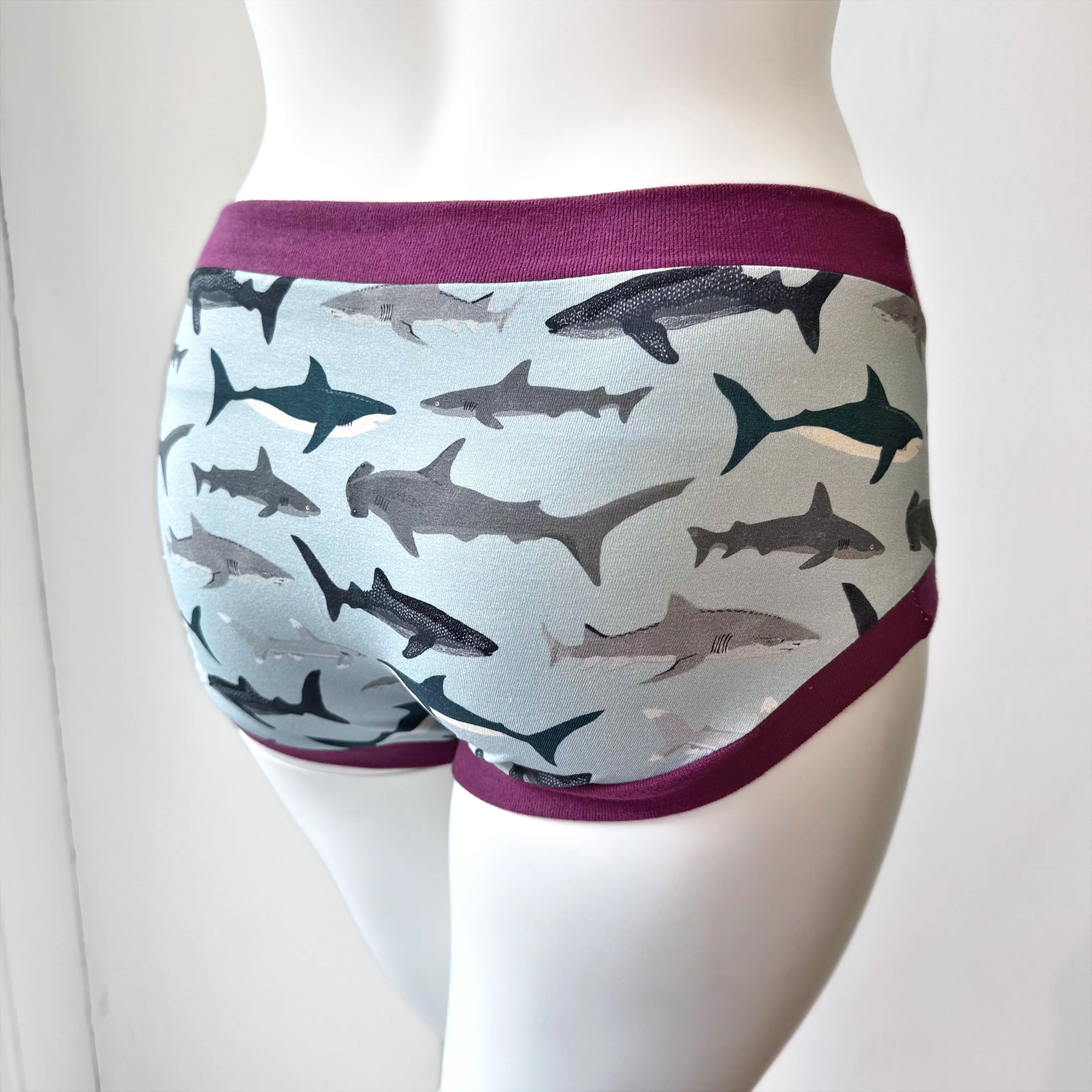 Shark Pouch Fronted Briefs | Men’s Pants | Organic Cotton Underwear