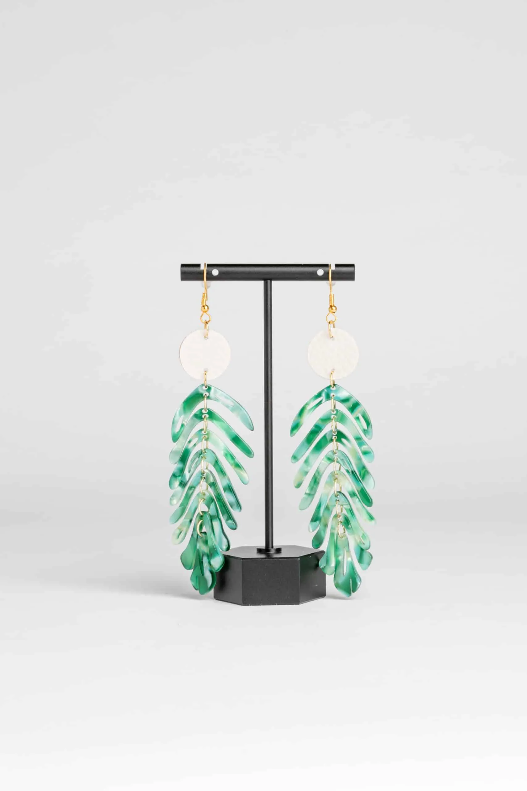 Tropical Palms